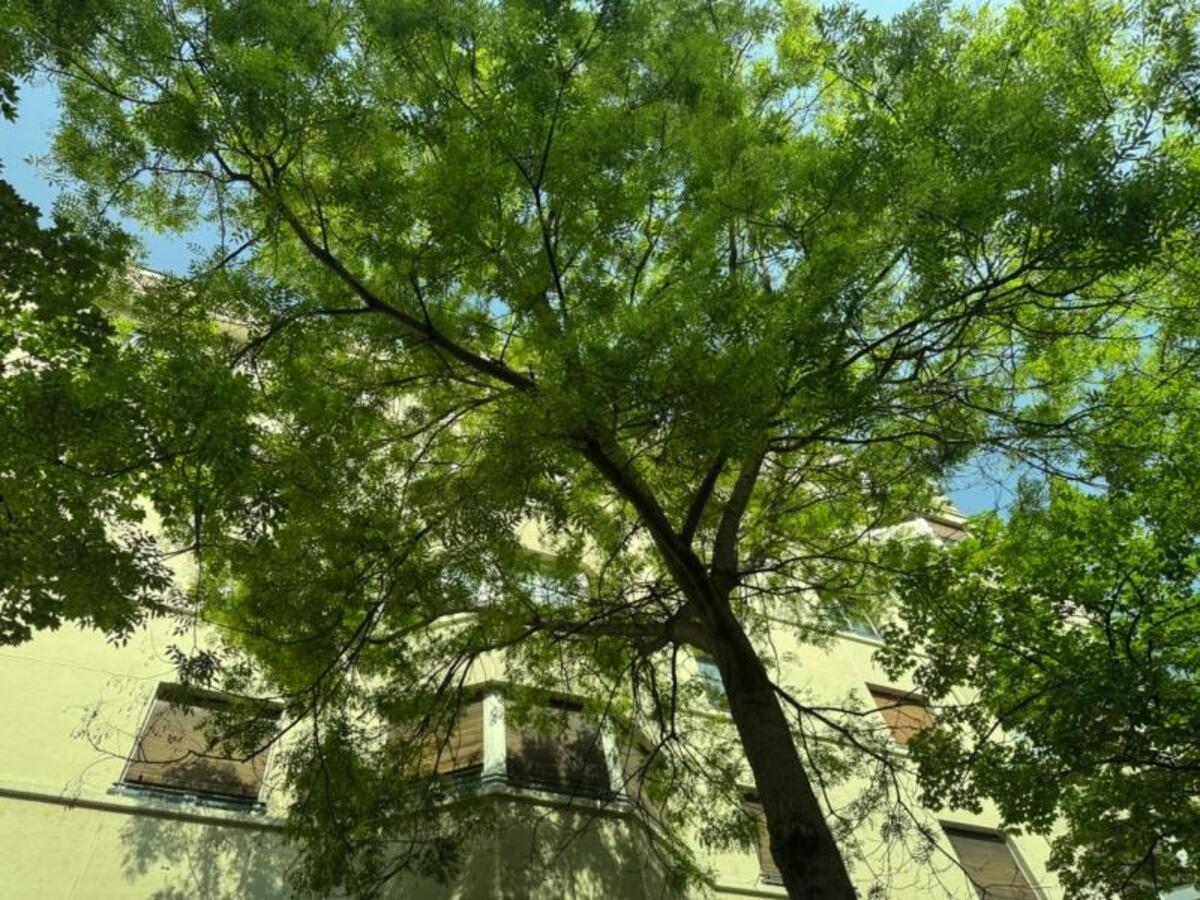 Image31