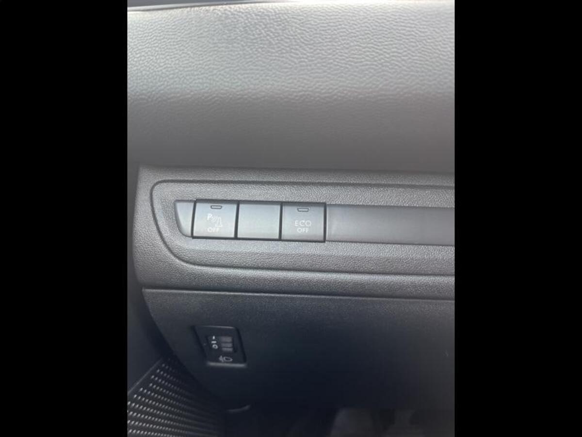 Image19