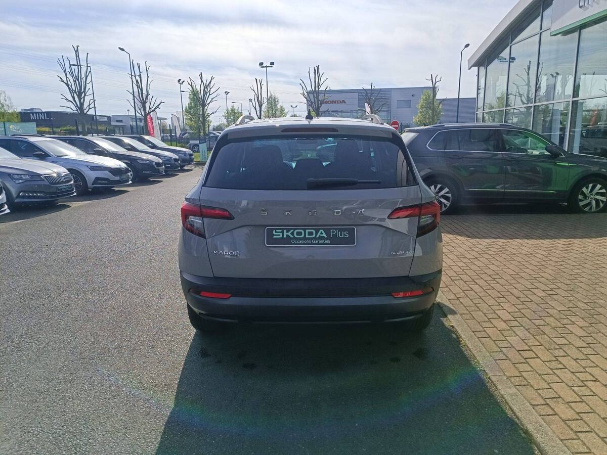 Image6