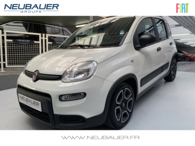 FIAT Panda 1.0 70ch BSG S&S City Life (Juin2021)